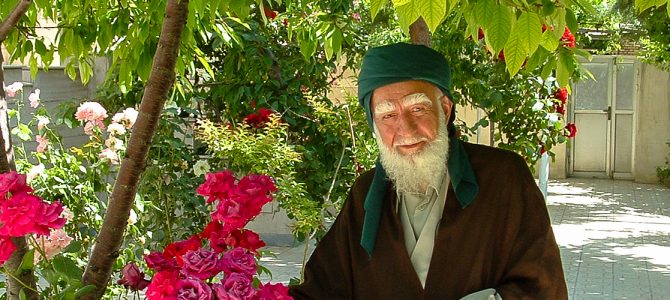 حضرت شیخ سید طه کمالی زاده نقشبندی